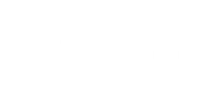 Organizador 3